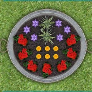 Meet your Posher, Chazra